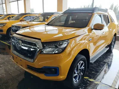 Dongfeng Rich 6 New Energy