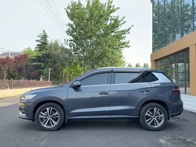 BYD Pro