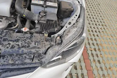 Toyota YARiS L Zhi Xiang
