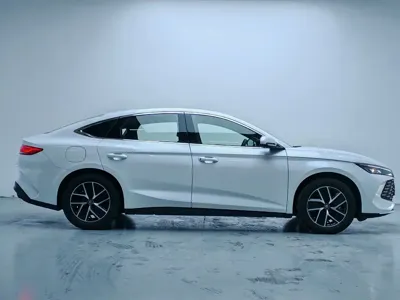 BYD Qin L