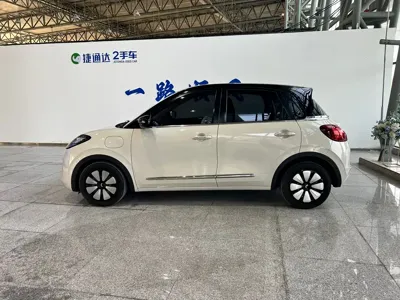 Wuling Bingo