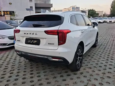 Haval Chulian