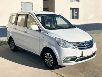 BAW Weiwang M20