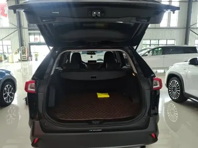 Toyota Wildlander