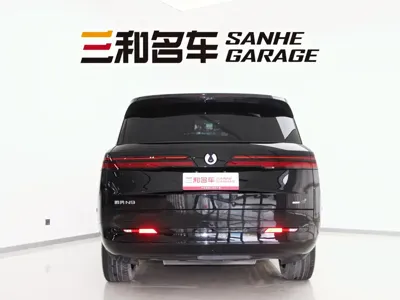 Denza 腾势N9