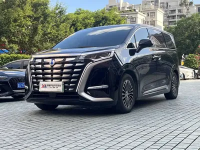 Denza Denza D9