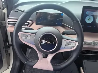 BYD Seagull