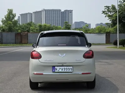 Wuling Bingo