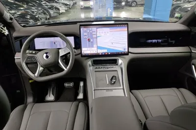 Denza N9