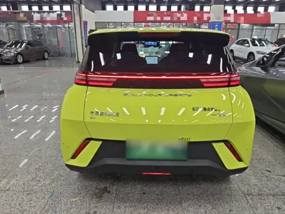 BYD Seagull