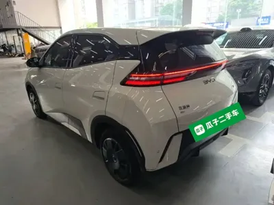 BYD Seagull