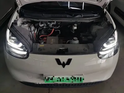 Wuling Bingo