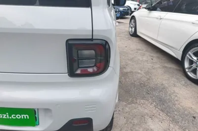 Geely Galaxy Panda