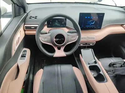 BYD Seagull