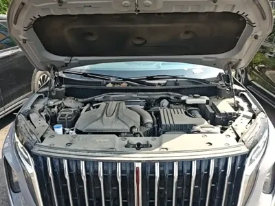 Hongqi Hongqi HS7 PHEV