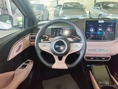 BYD Seagull