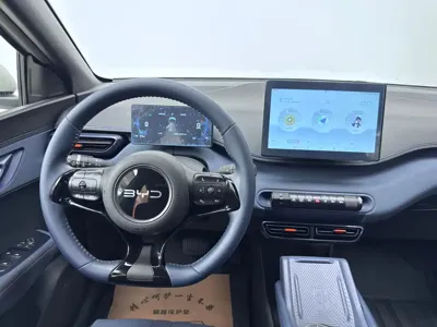 BYD Seagull
