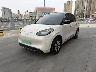 Wuling Bingo