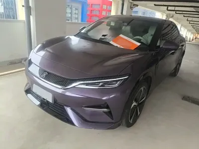 BYD L EV