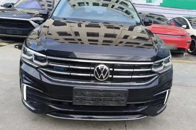 Volkswagen Tiguan L New Energy