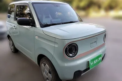 Geely Galaxy Panda