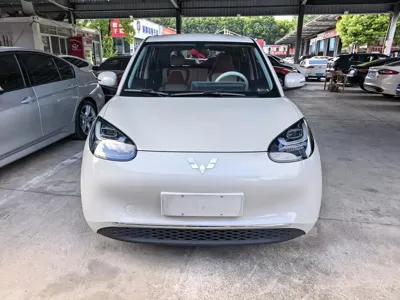 Wuling Bingo