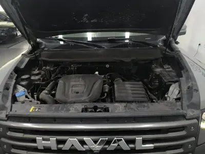 Haval Menglong New Energy