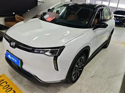 WM Motor W6