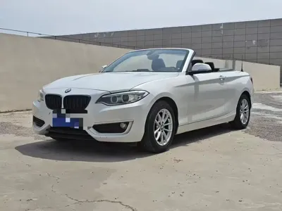 BMW 2 Series (Import)