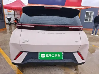 BYD Seagull