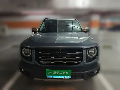 Haval Big Dog