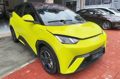 BYD Seagull