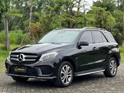 Mercedes-Benz 奔驰GLE(进口)