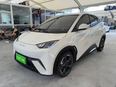 BYD Seagull