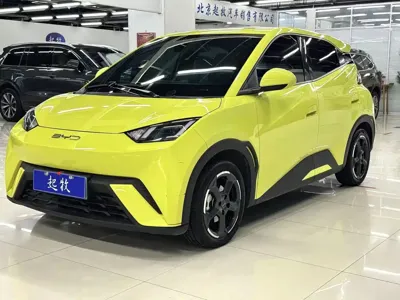 BYD Seagull
