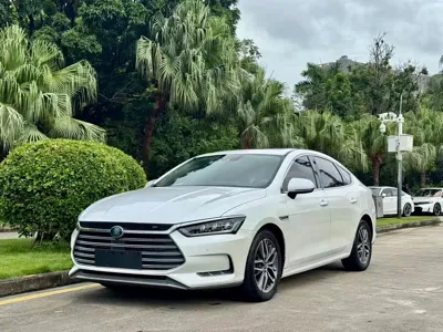BYD Qin Pro NEV