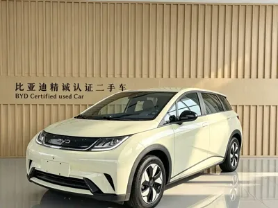 BYD Dolphin