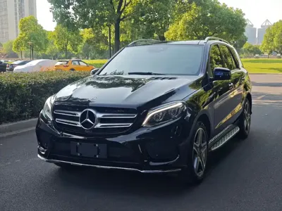 Mercedes-Benz 奔驰GLE(进口)