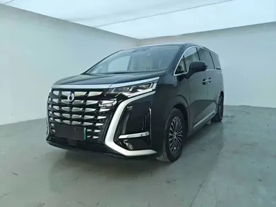 Denza Denza D9