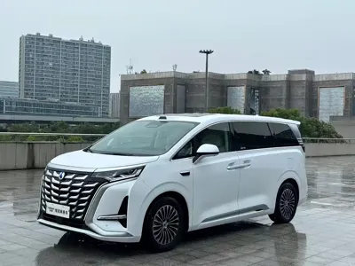 Denza Denza D9