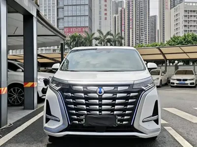 Denza Denza D9