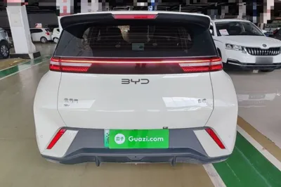 BYD Seagull