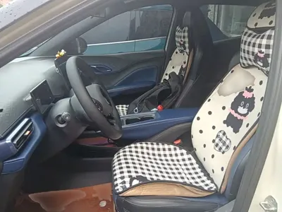 BYD Seagull
