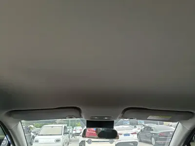 NETA Neta V