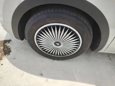 Wuling Bingo