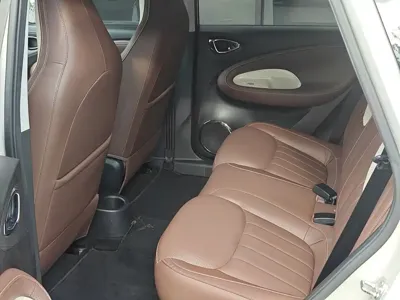 Wuling Bingo