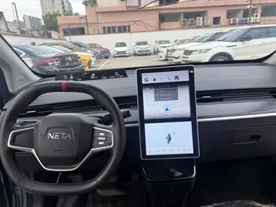 NETA Neta V