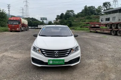 Baojun 310