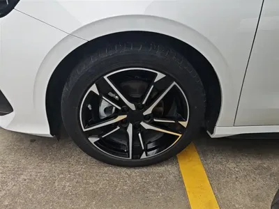 Geely Binrui