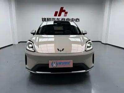 Wuling 缤果S